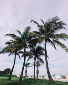 Kissimmee Florida Shipping